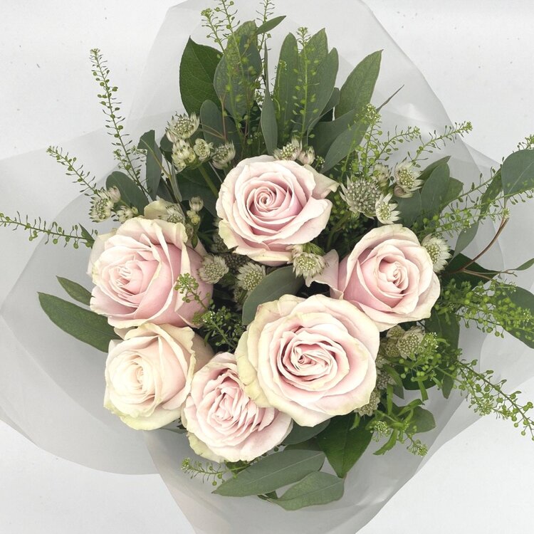 Six Luxe Pink Roses