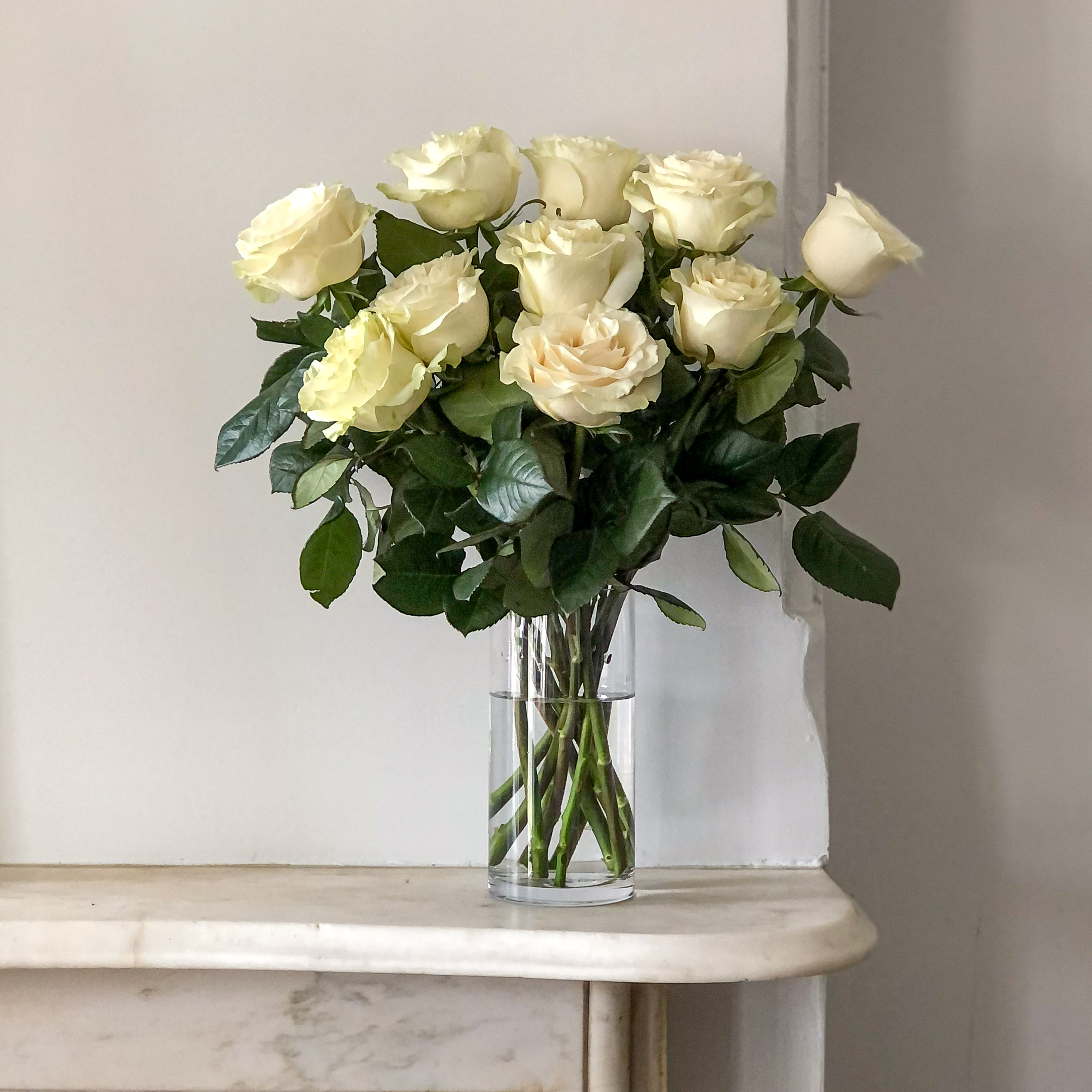 White Roses