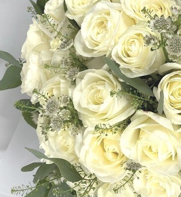 Dozen White Roses original