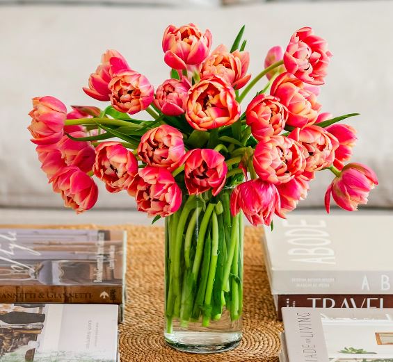 Pink Peony Tulips - BloomsyBox | Flowers | Floom