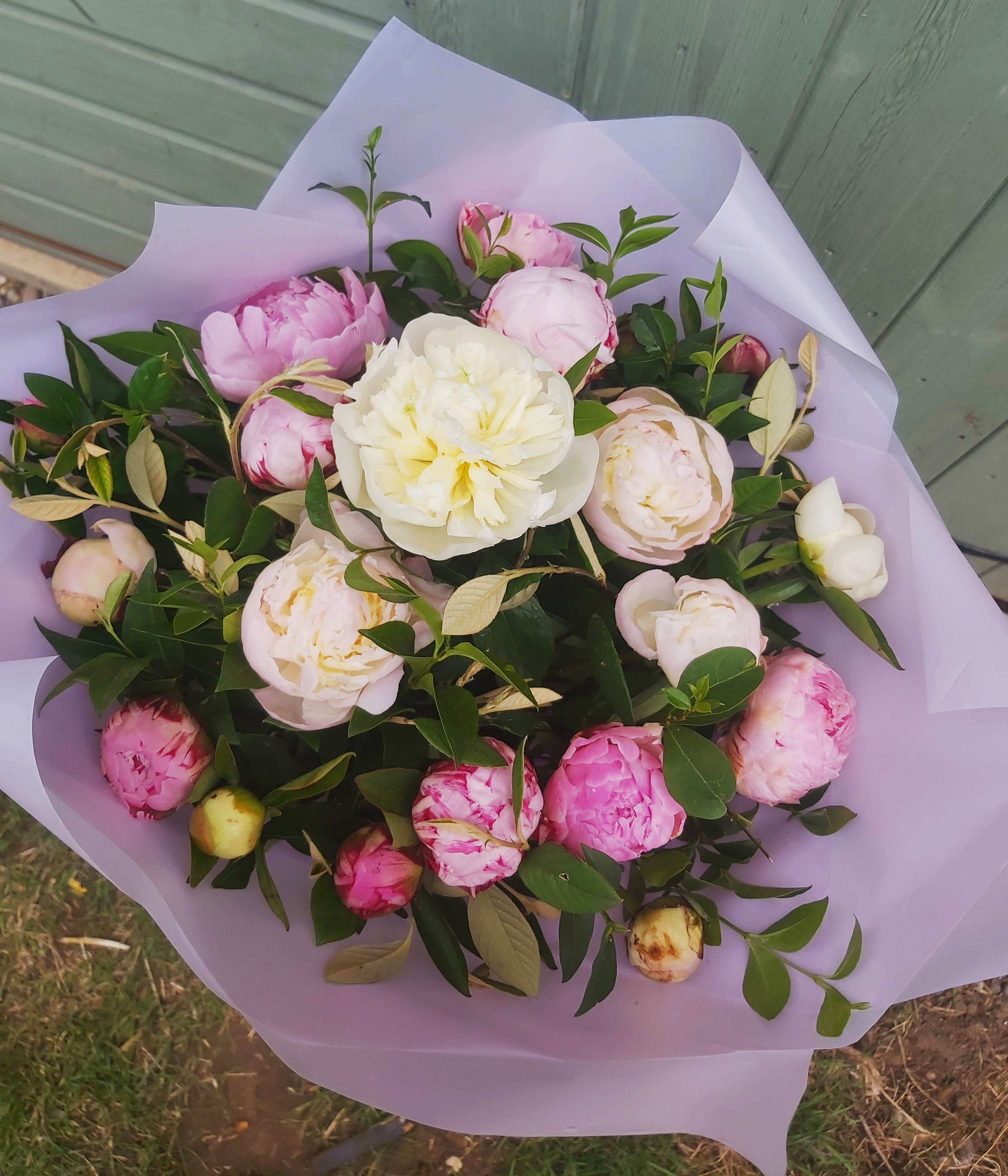 Pink & white peonies