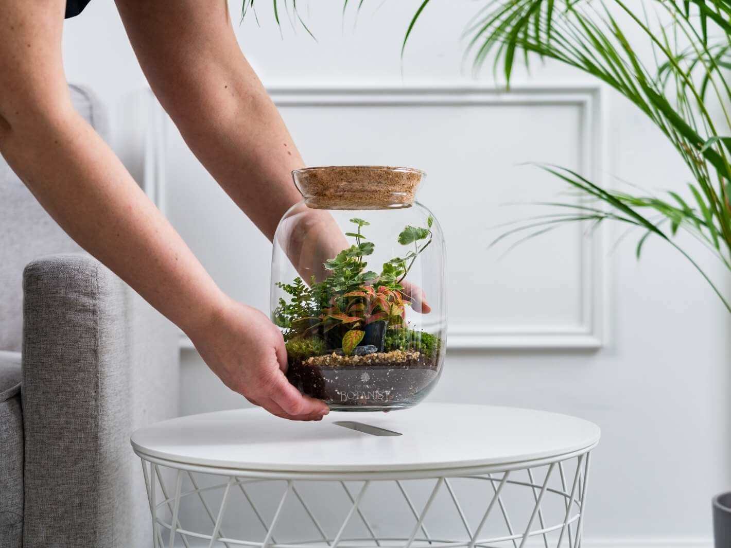DIY Terrarium H22 HP