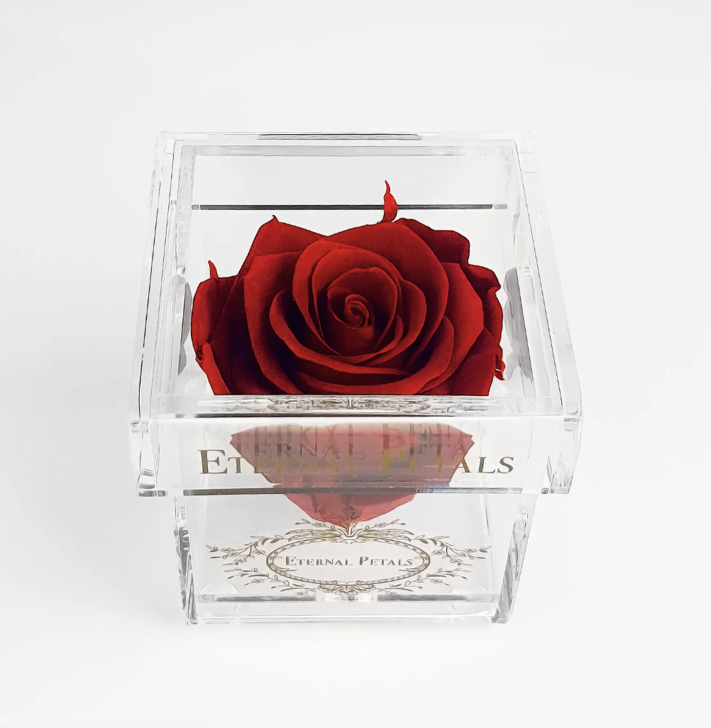 Eternal Rose Deep Red