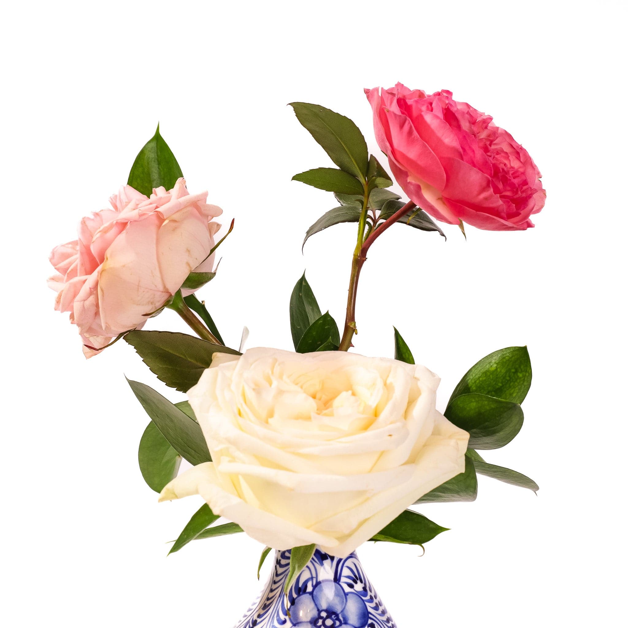 The Garden Rose Trio