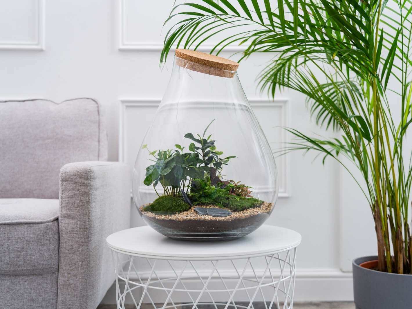 DIY Terrarium H43