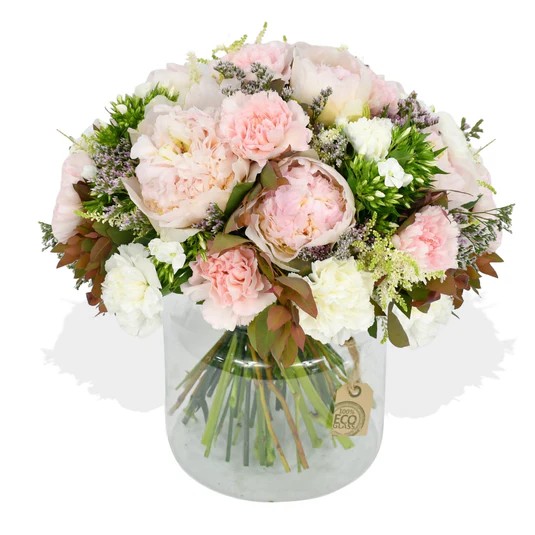 Original by Flowers & Plants Co — flowers available for delivery from Floom