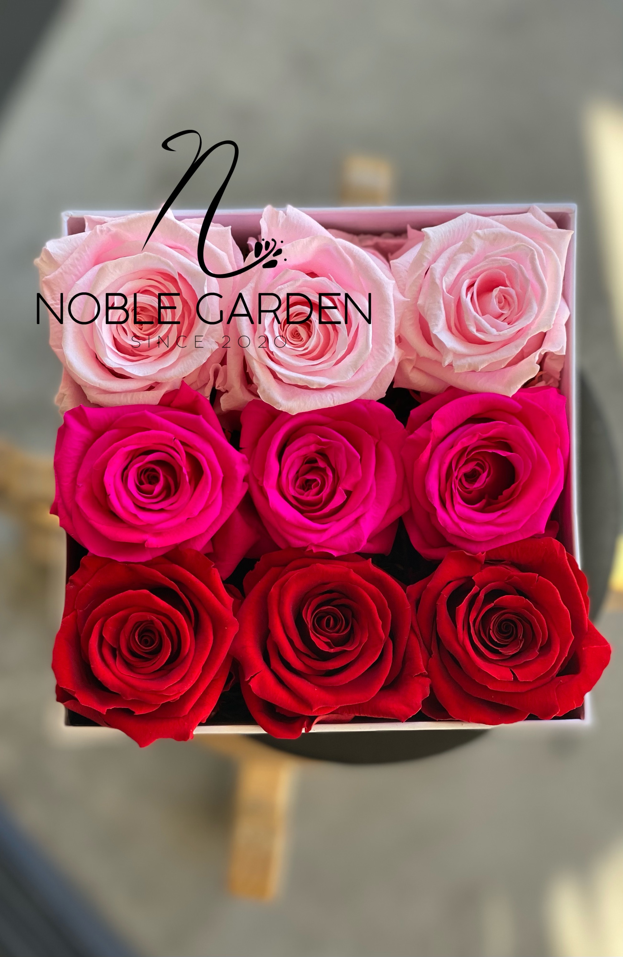 This roses last 1year