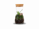 Terrarium Shoreditch