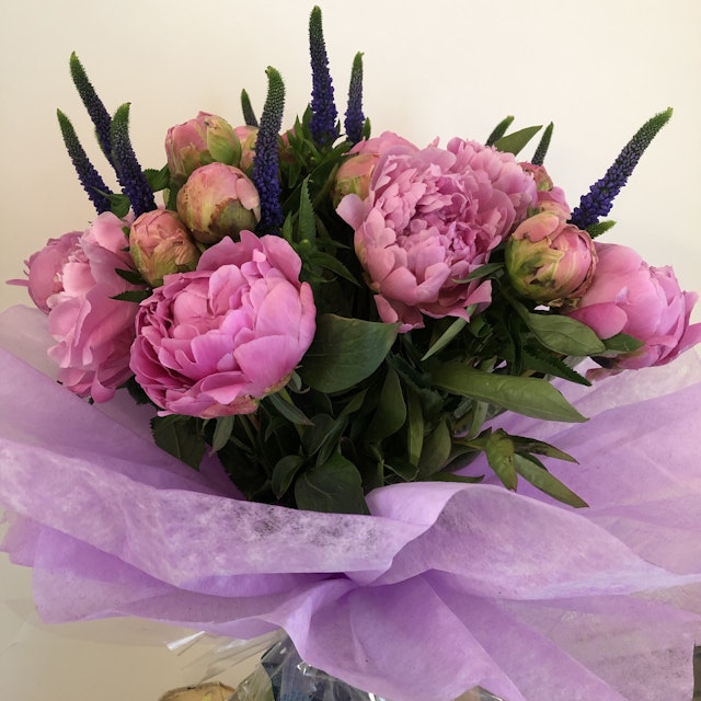 Peonies and Veronica