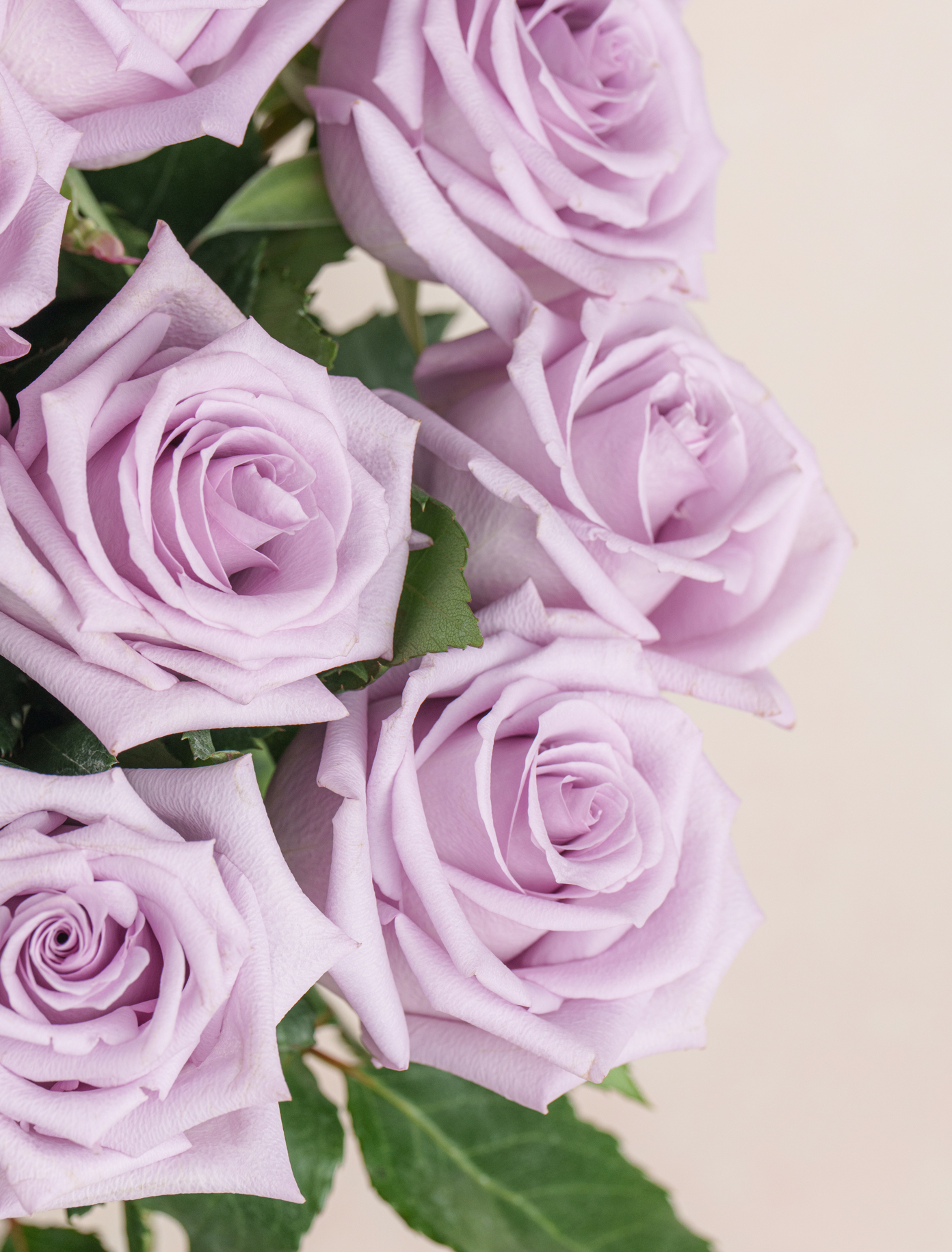 Original by Ode a La ROSE- Chicago  — flowers available for delivery from Floom