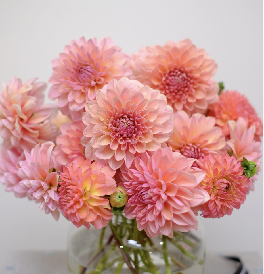 Original by Orchidya — flowers available for delivery from Floom