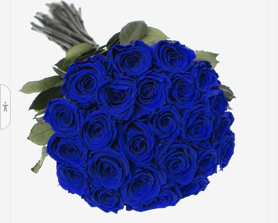 25 dark blue roses