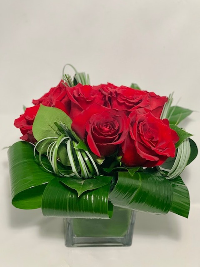 Red Rose Fantasy