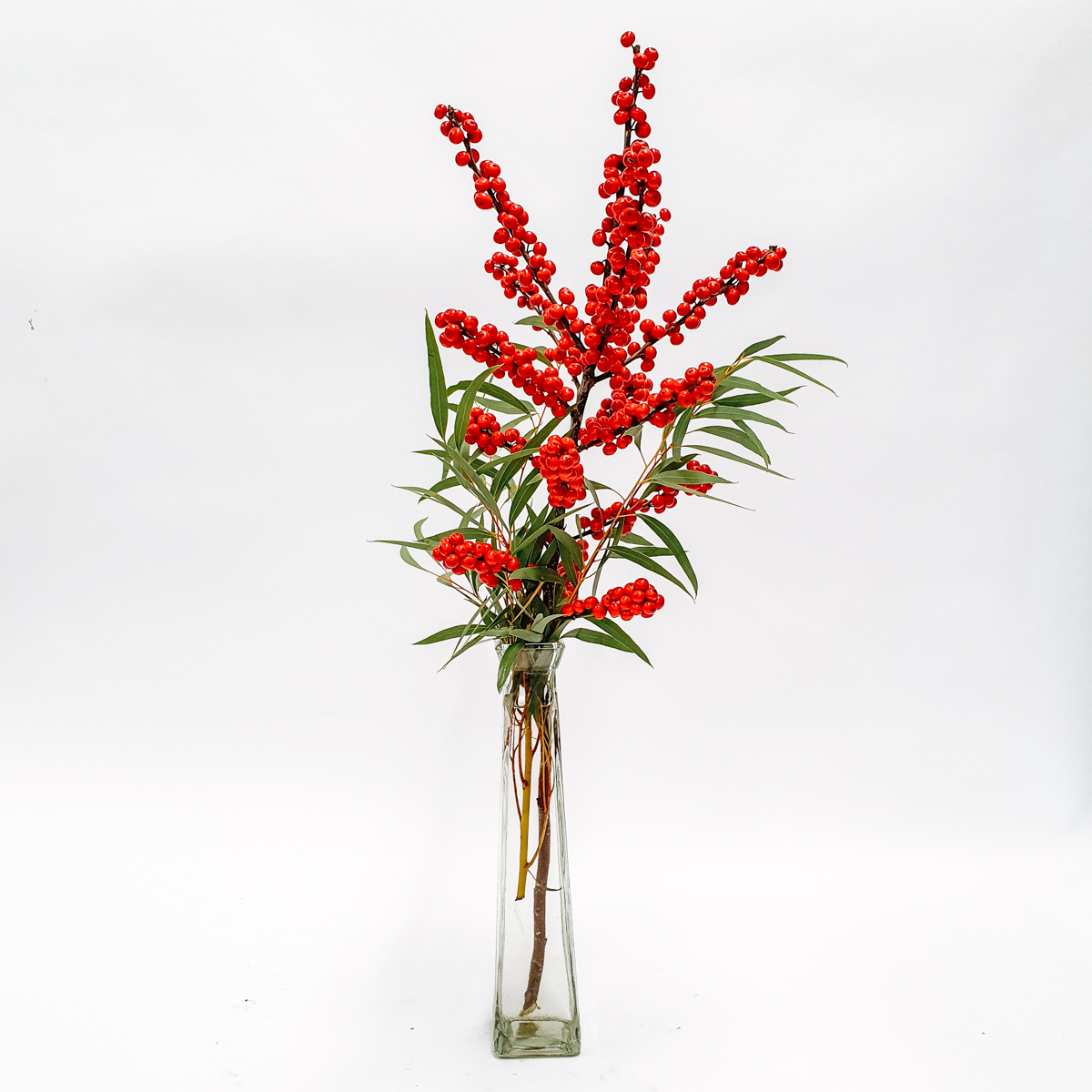 Ilex Vase