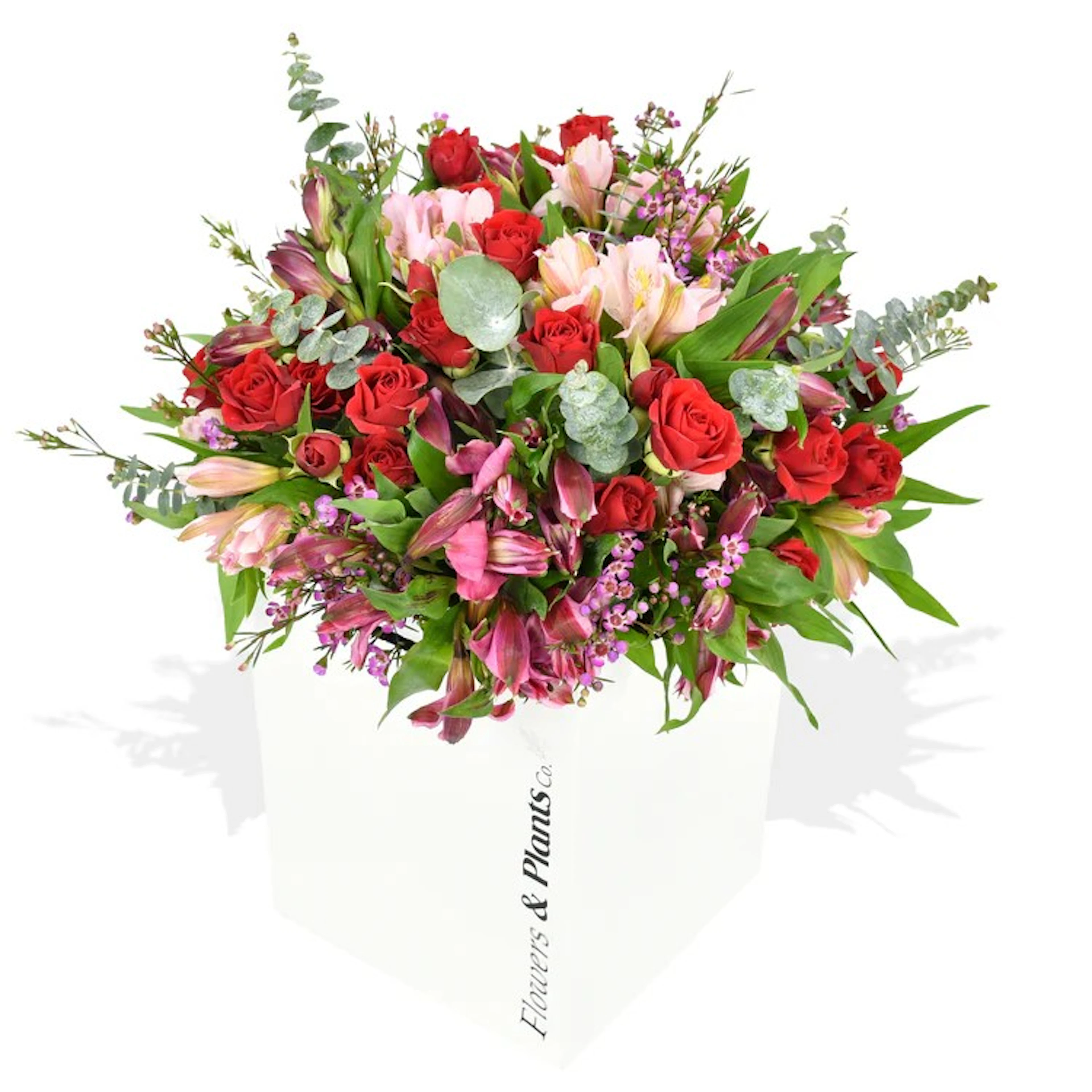 Original by Flowers & Plants Co — flowers available for delivery from Floom