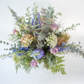 To the Moon and Back