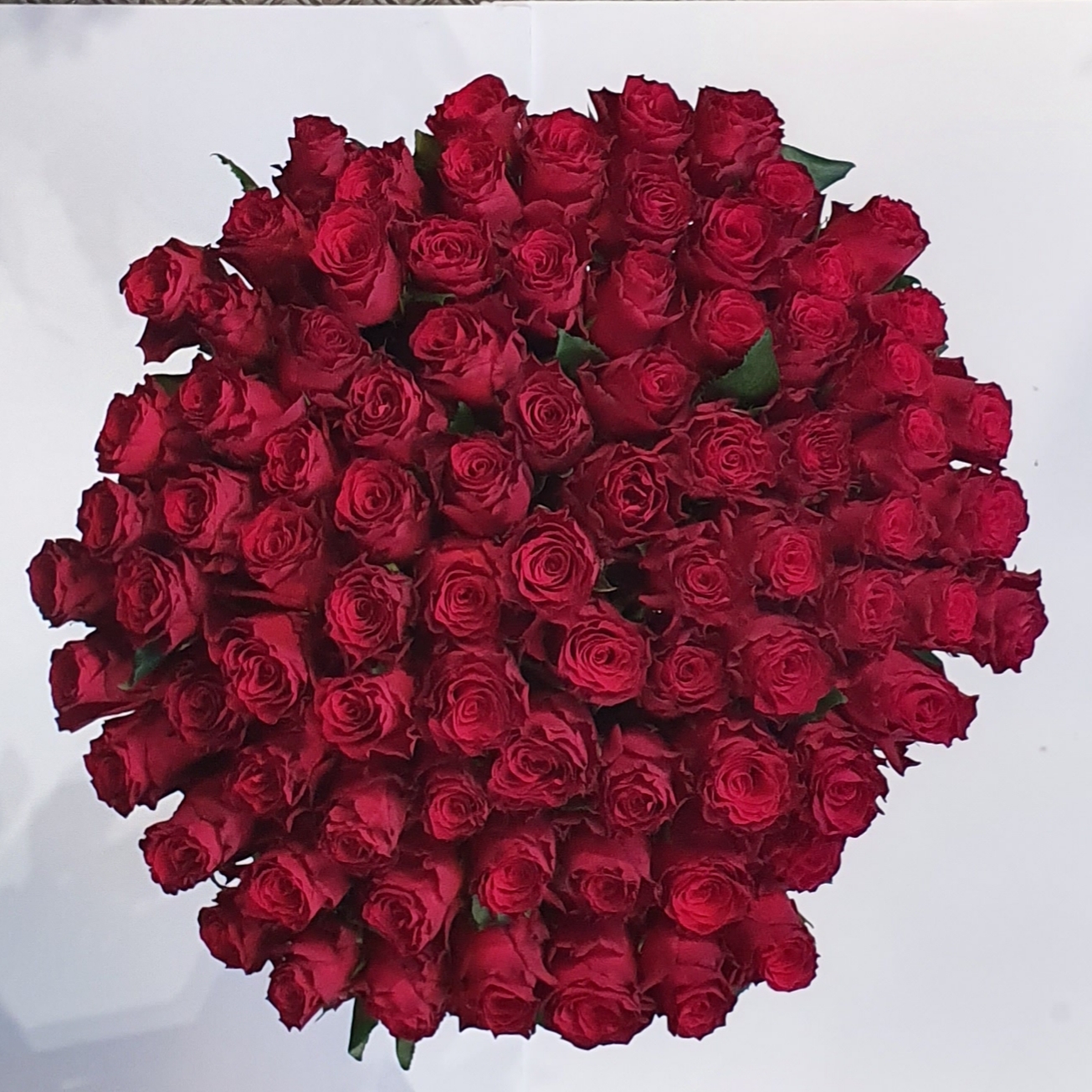 84 Red Roses