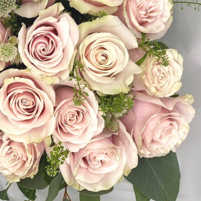 Dozen Pink Roses original