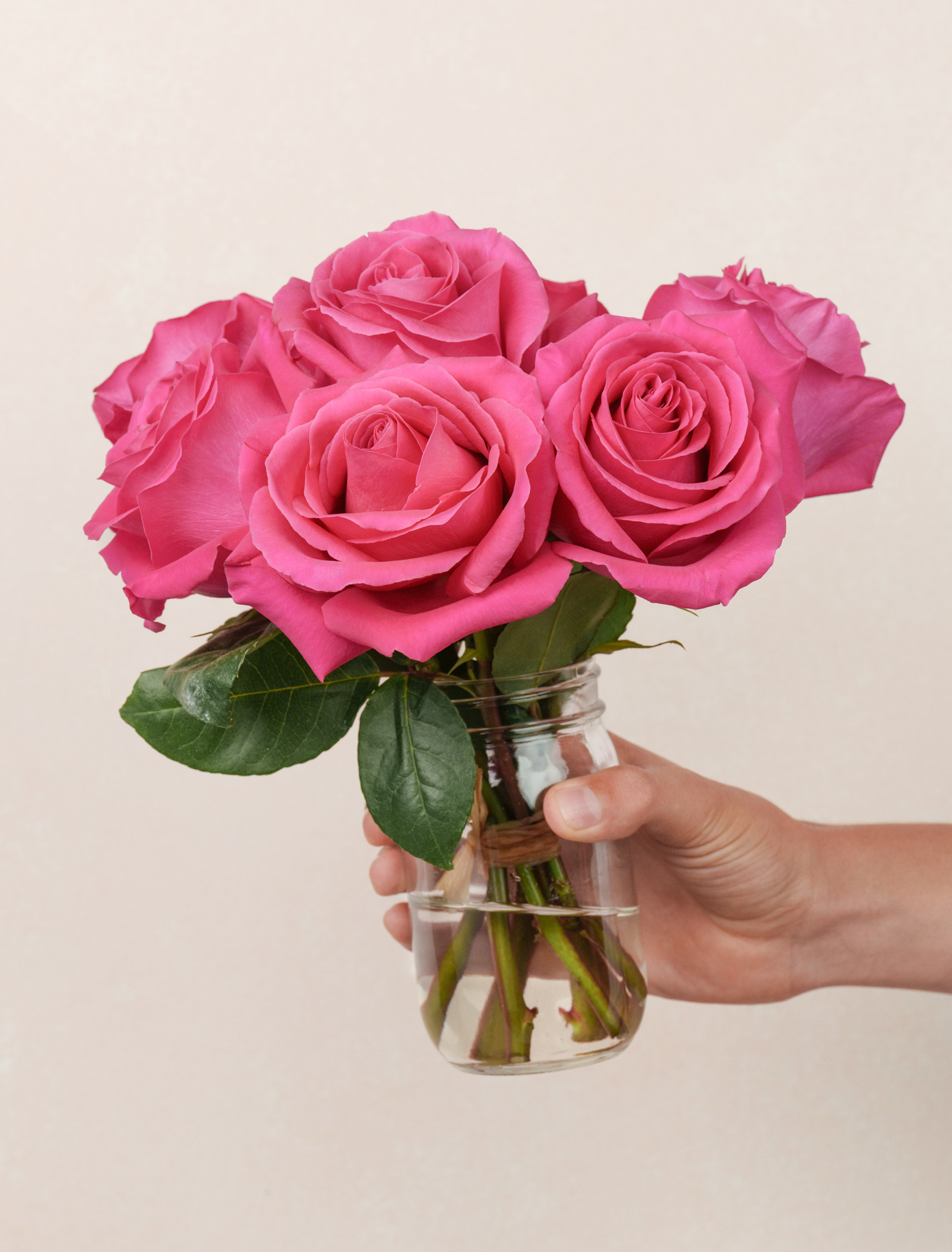 Petite Tilda by Ode a La ROSE- Chicago  — flowers available for delivery from Floom