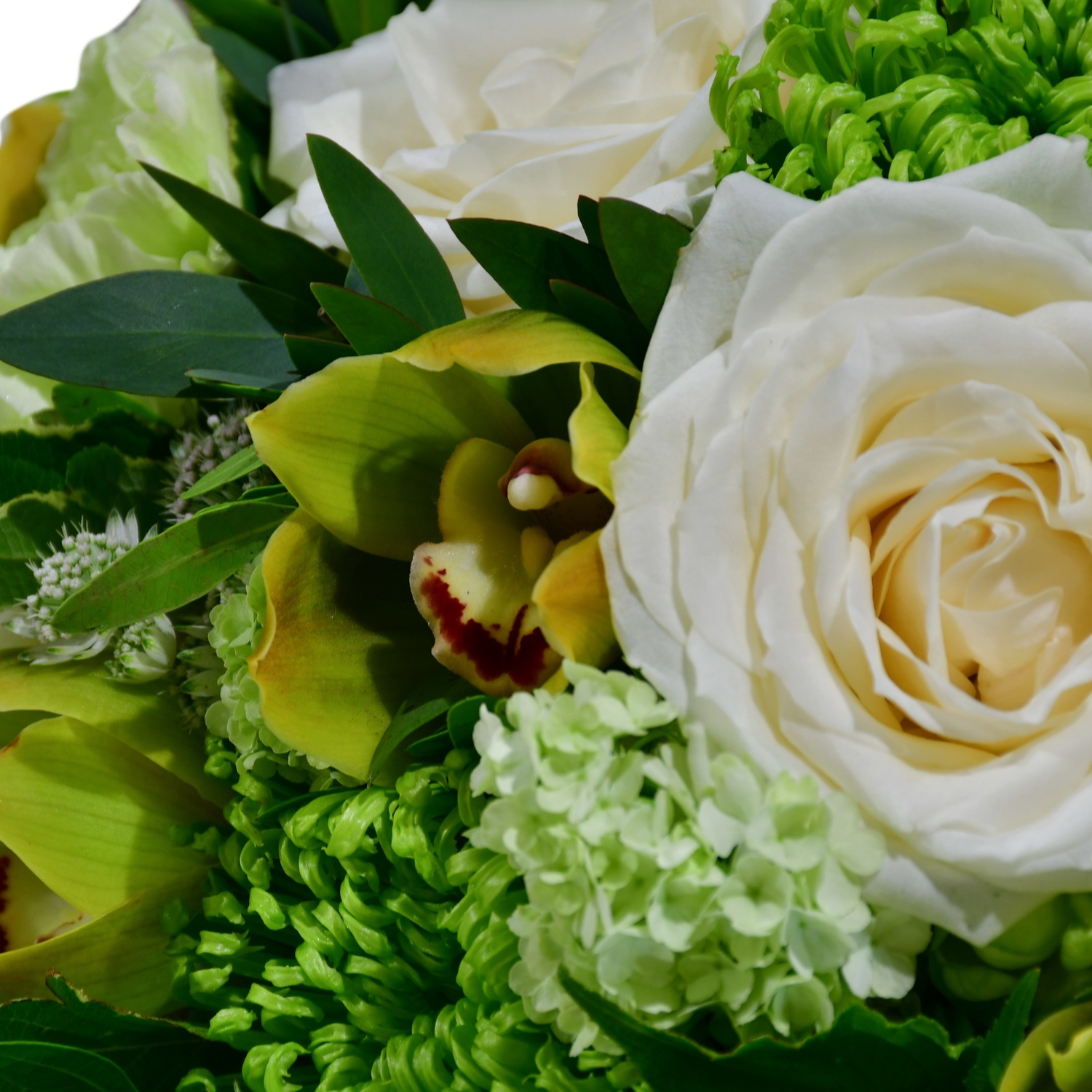 Original by Moyses Stevens Flowers — flowers available for delivery from Floom