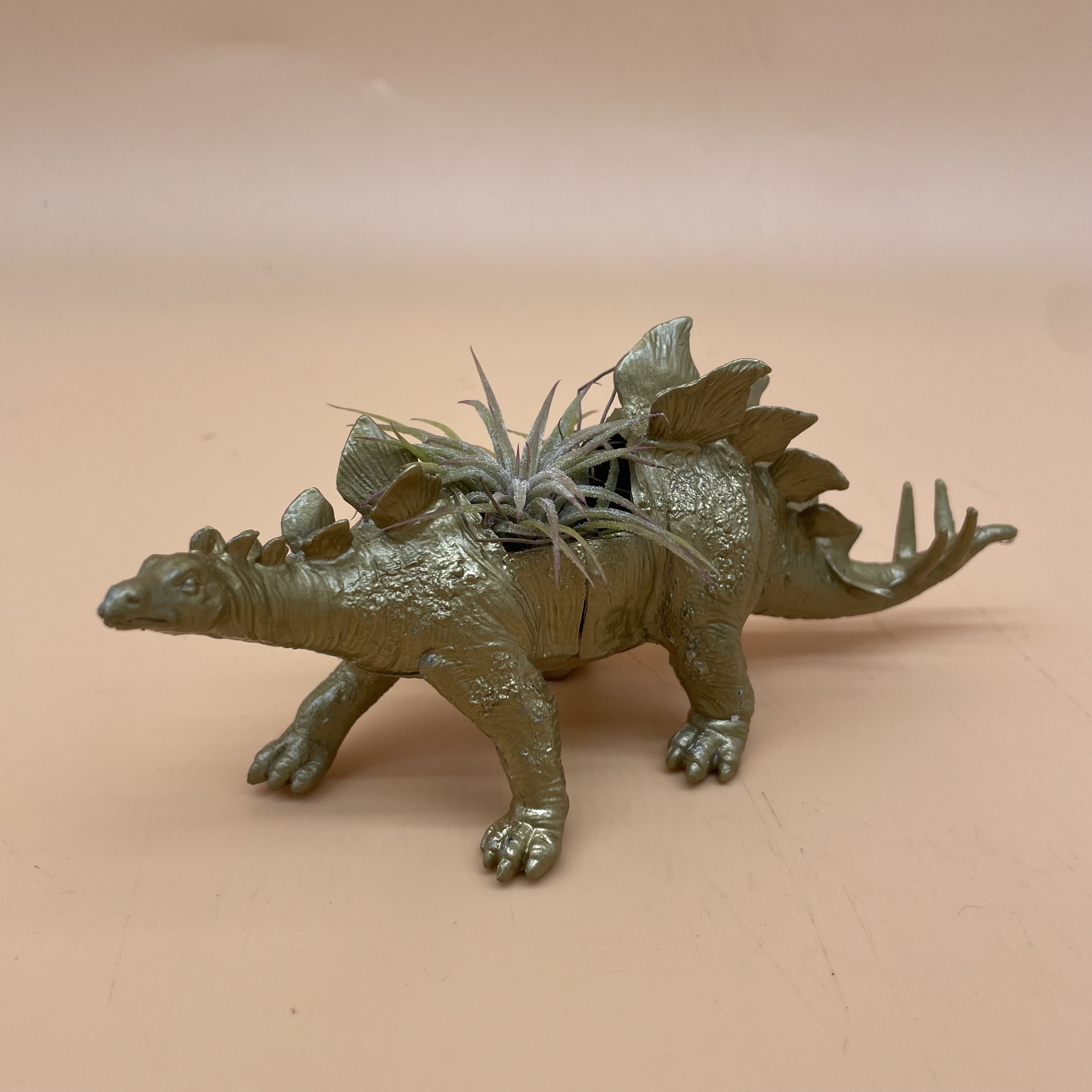 GOLD STEGO & AIRPLANT 