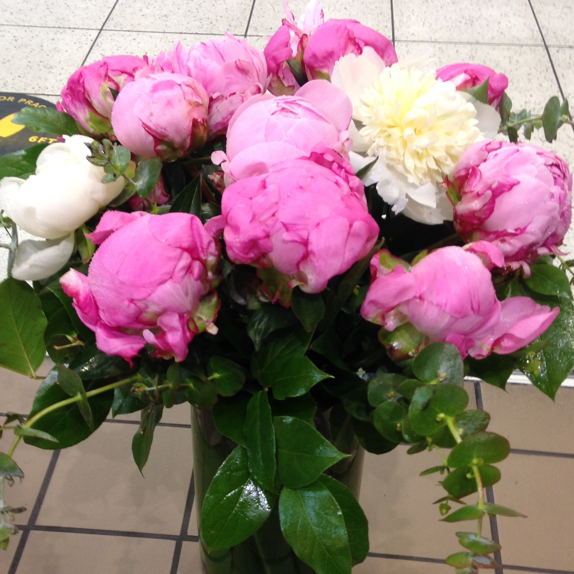 Pretty Peonies