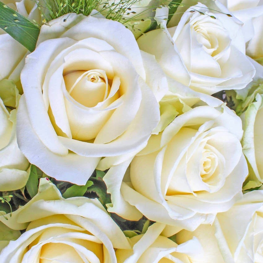 Original by Marys Florist — flowers available for delivery from Floom