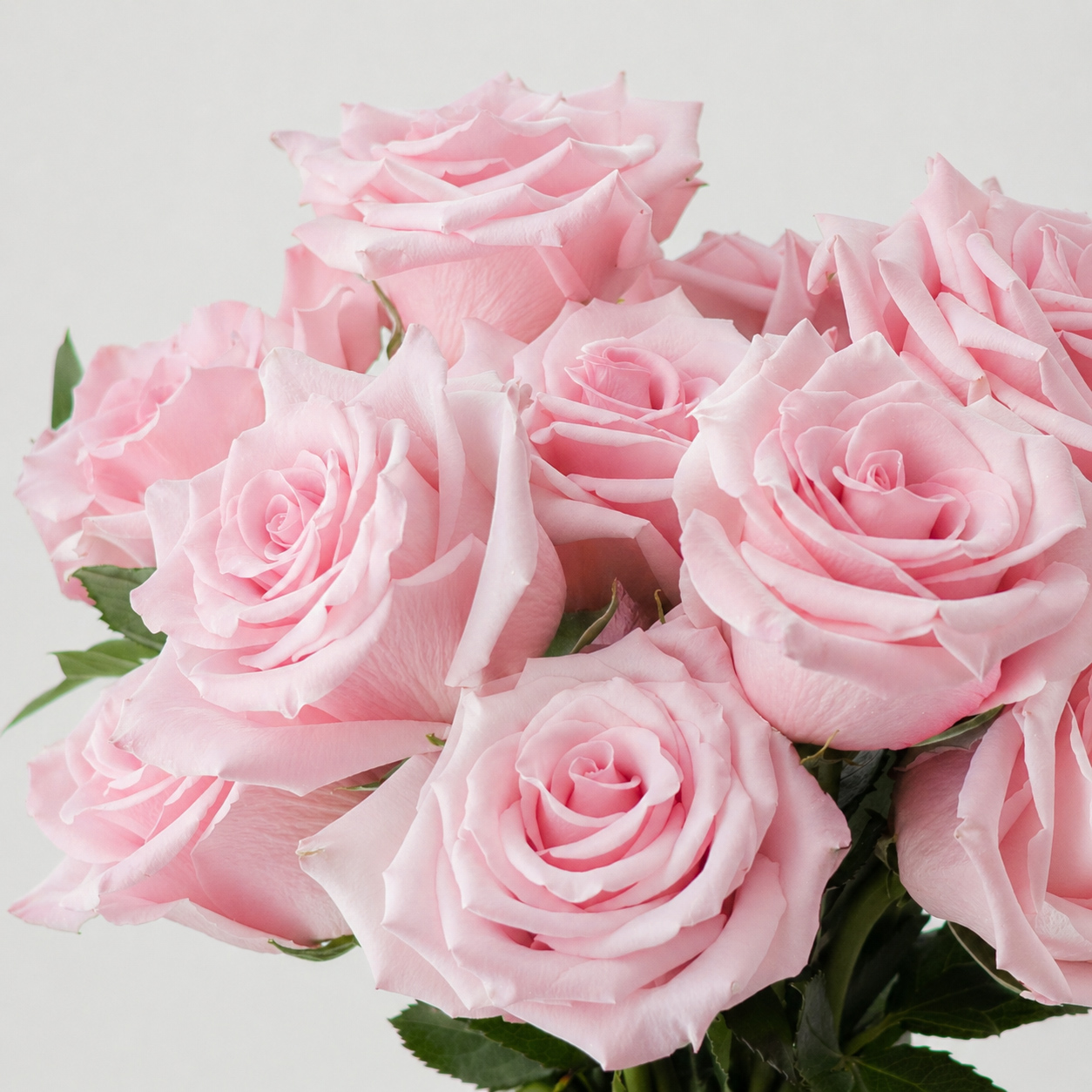 Original by Niolia — flowers available for delivery from Floom