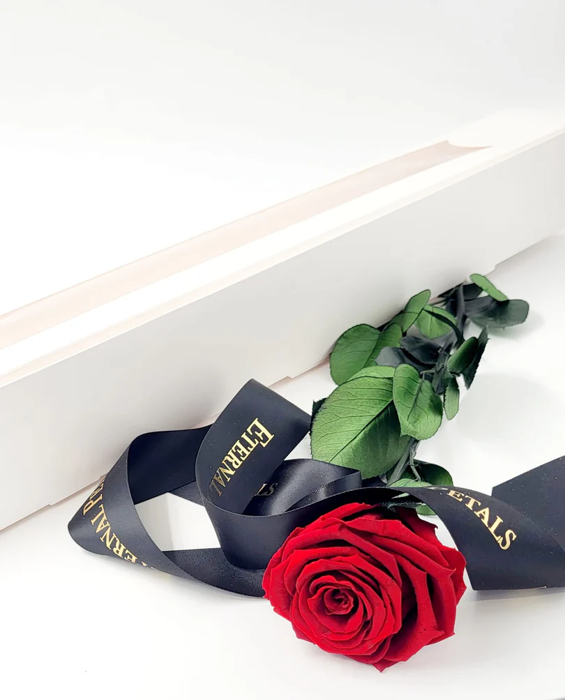 Forever Rose &Stem