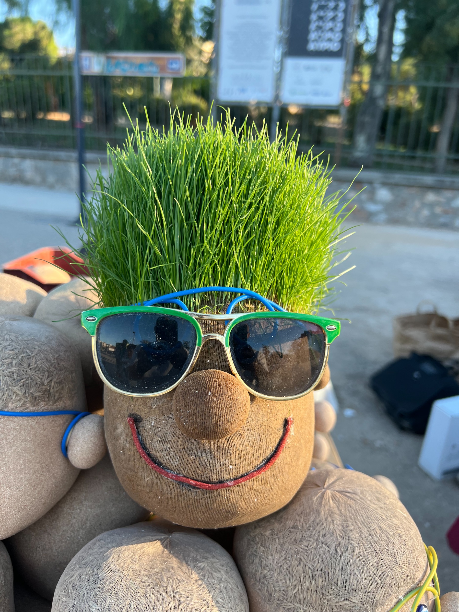 Grass Head