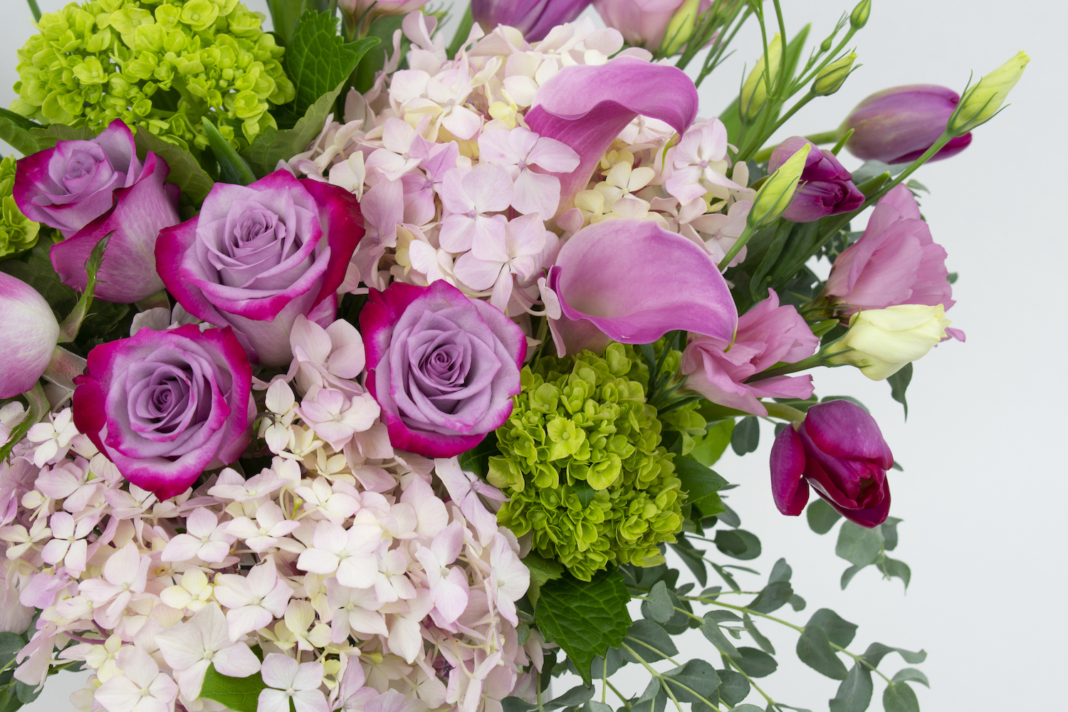 Ruby Tulip Bunch original