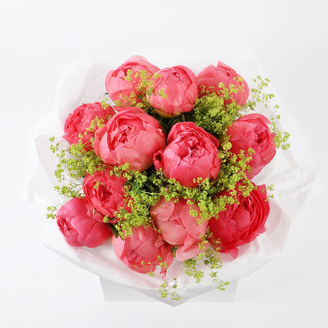 CORAL PEONIES