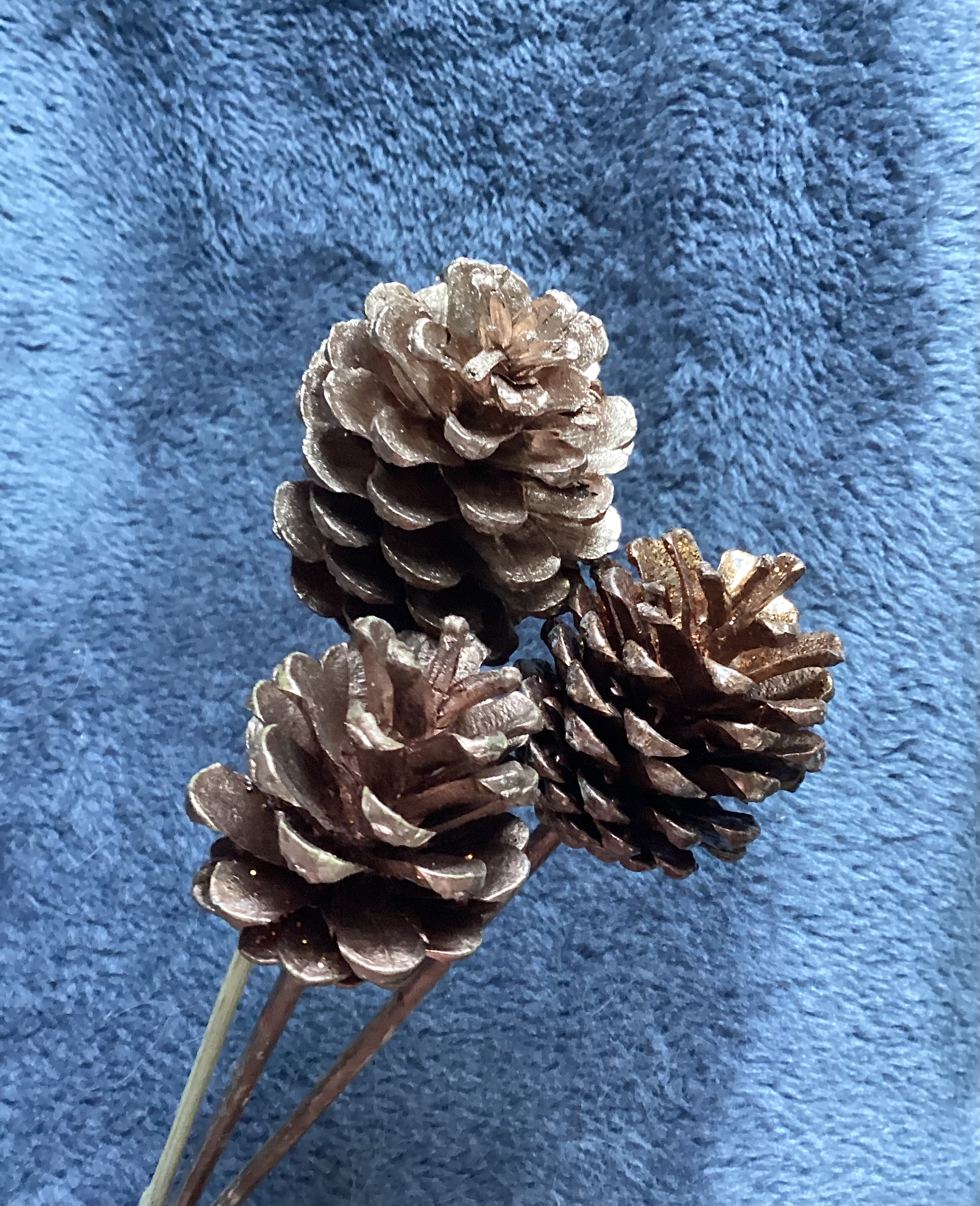 Pine cones x3