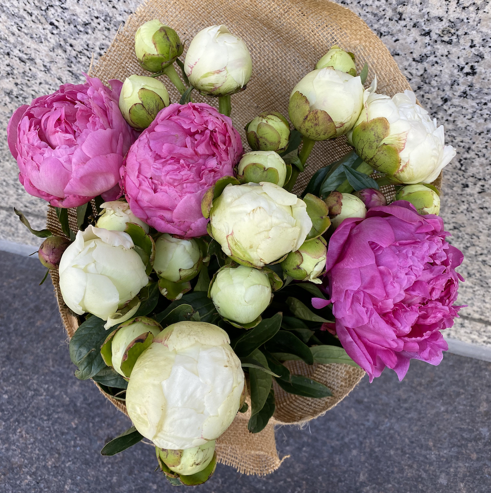 Peony Bouquet