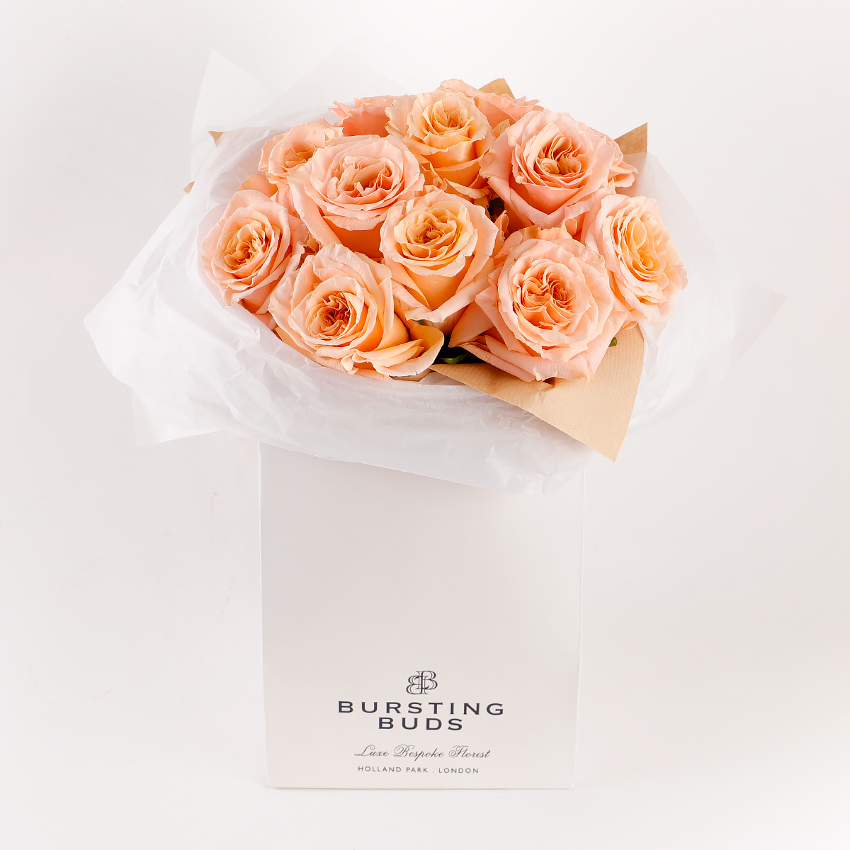 Whispering Peach Eleg