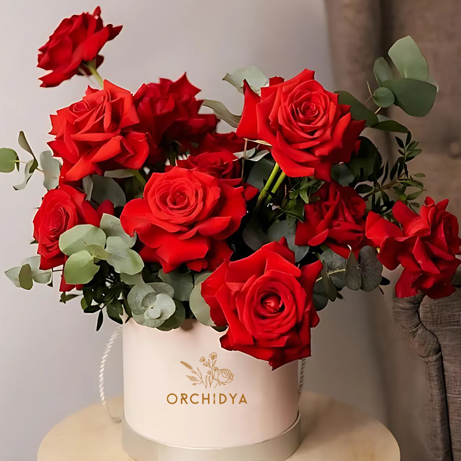 Red Roses Valentine