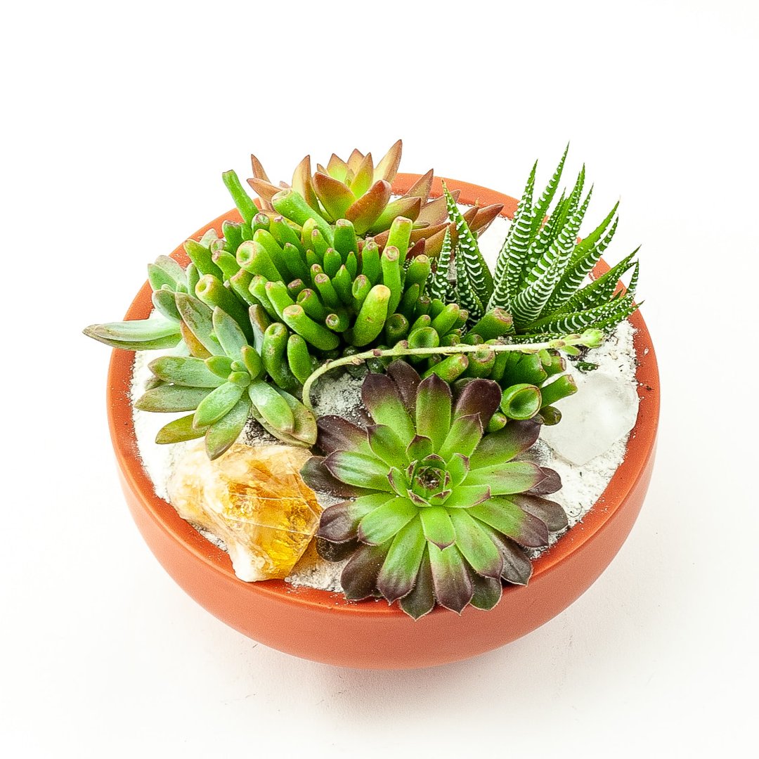 RUST CRYSTAL PLANTING