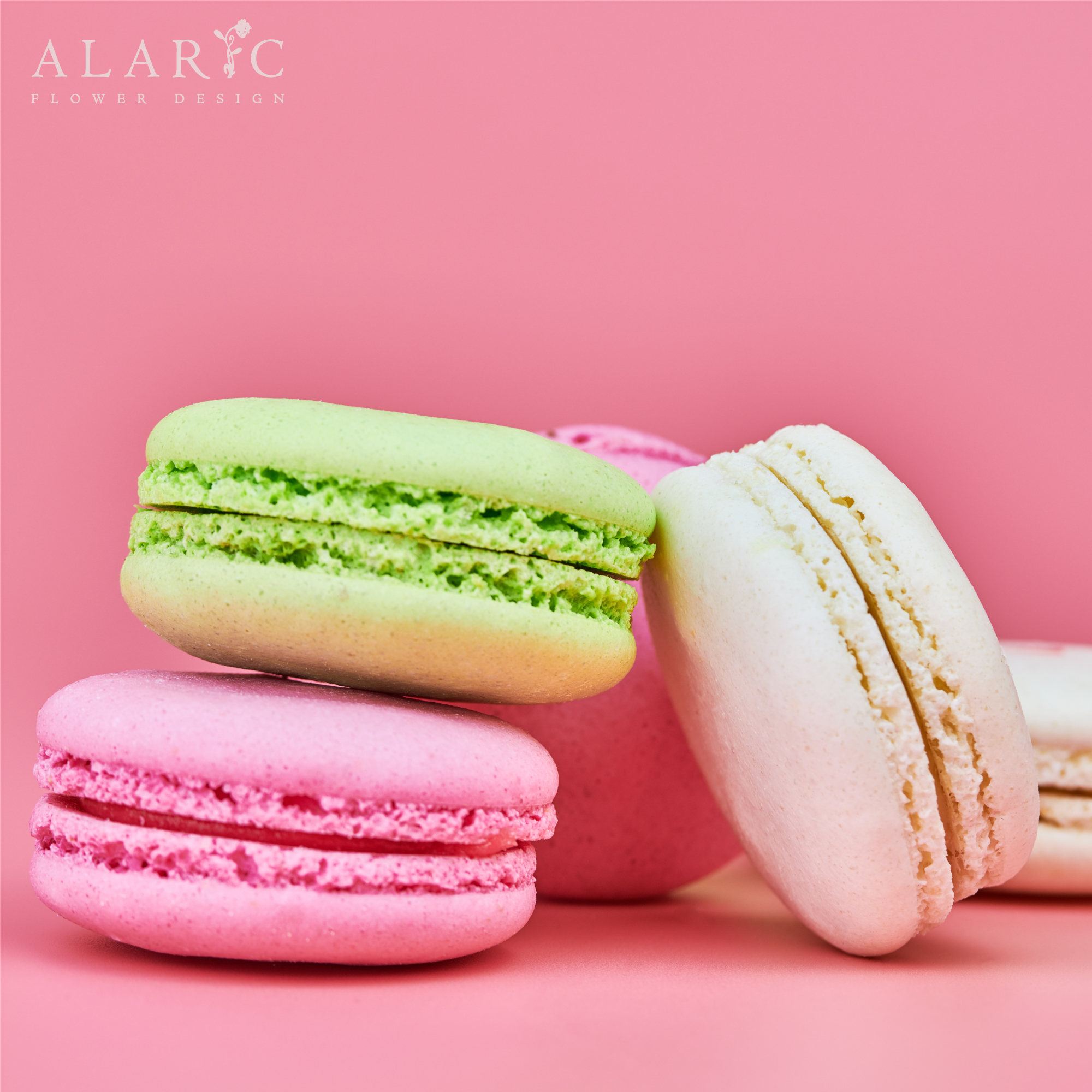 12 Macarons