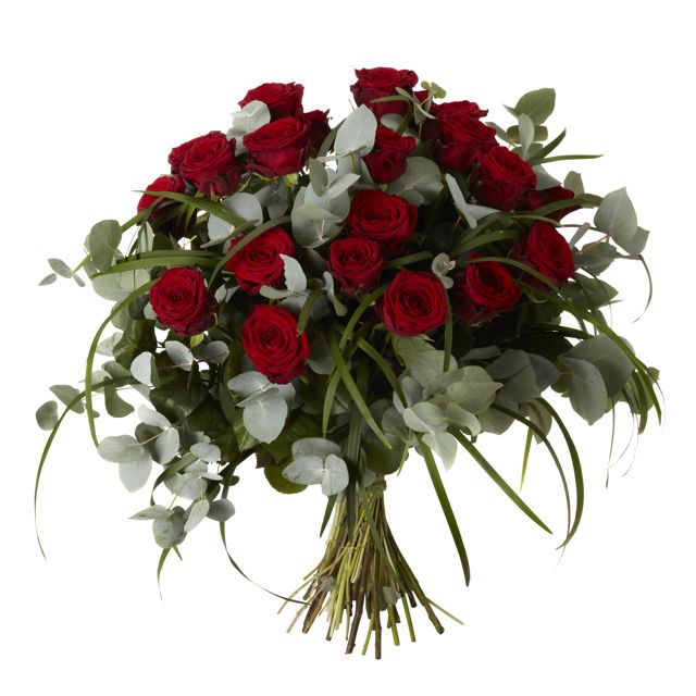 red roses