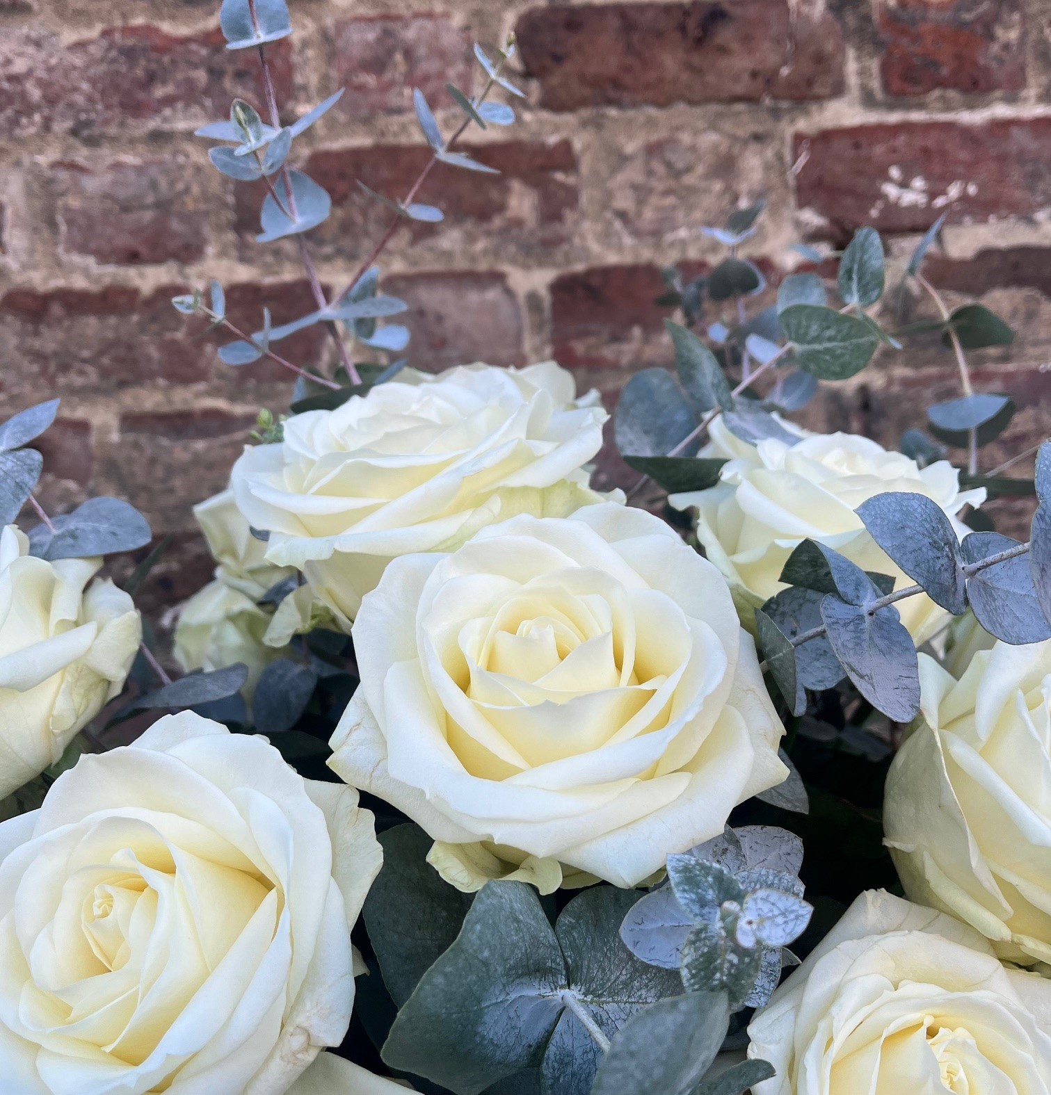 Luxe White Rose + Euc