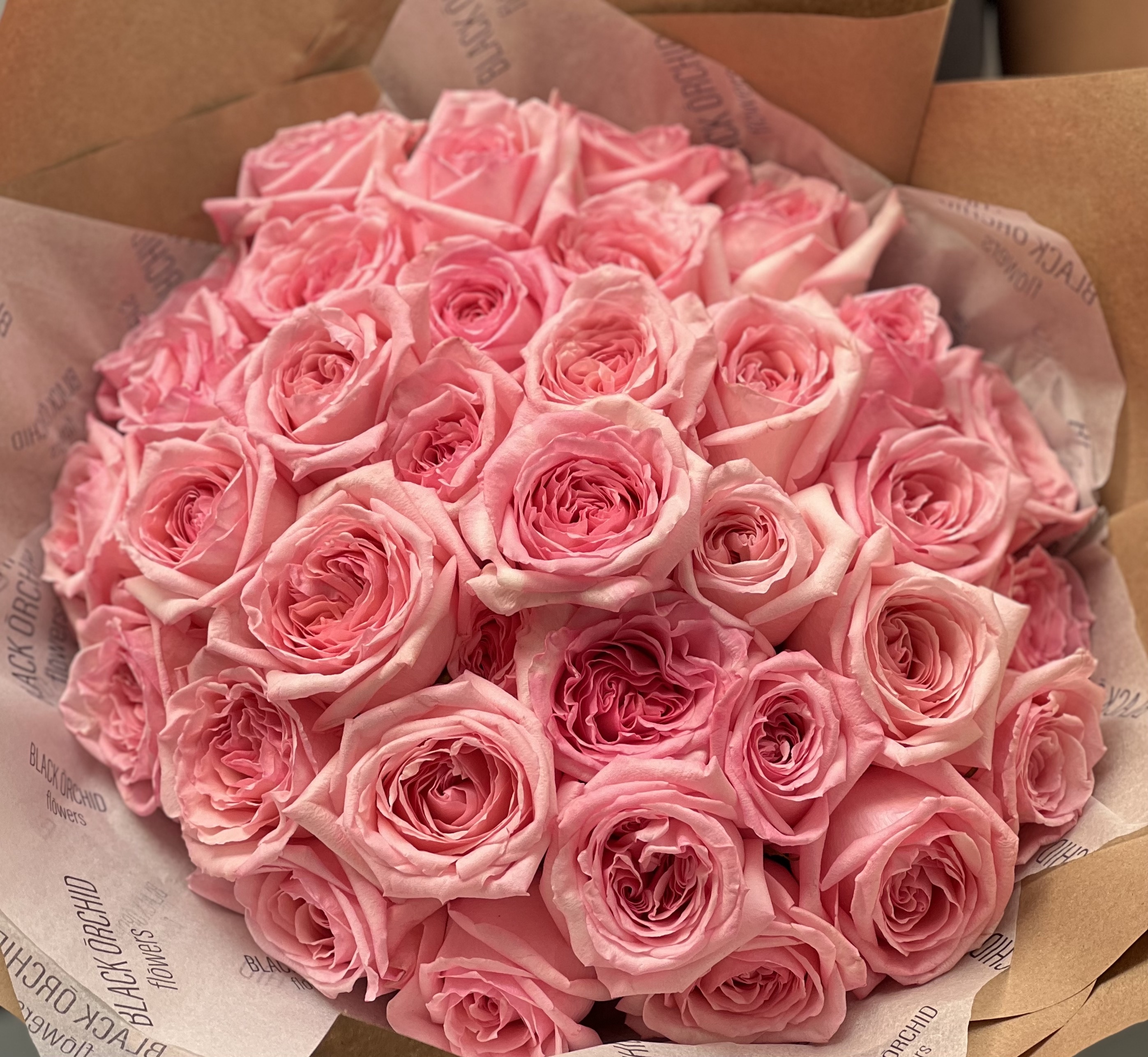 3 dozen of pink roses