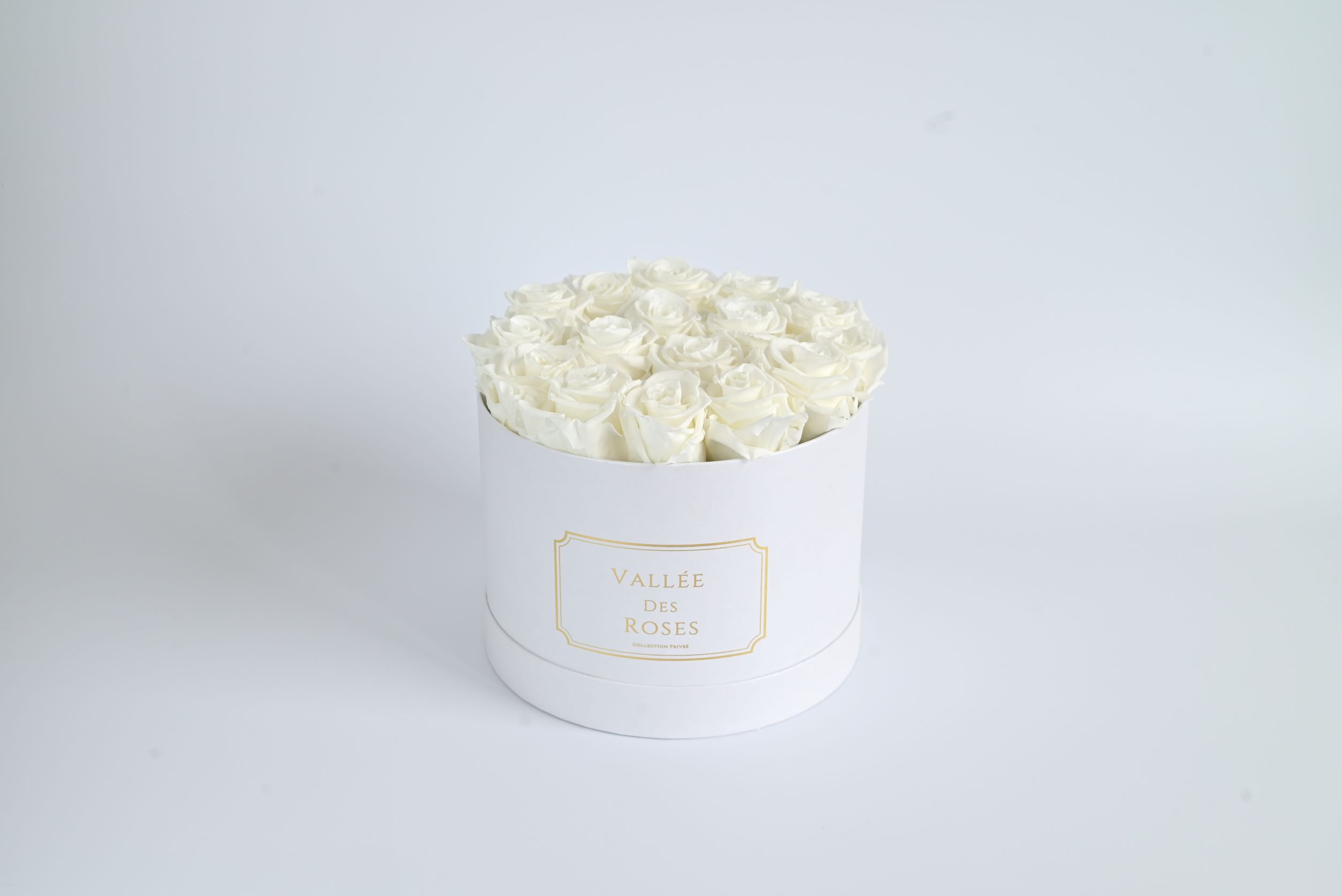 White Eternity Roses