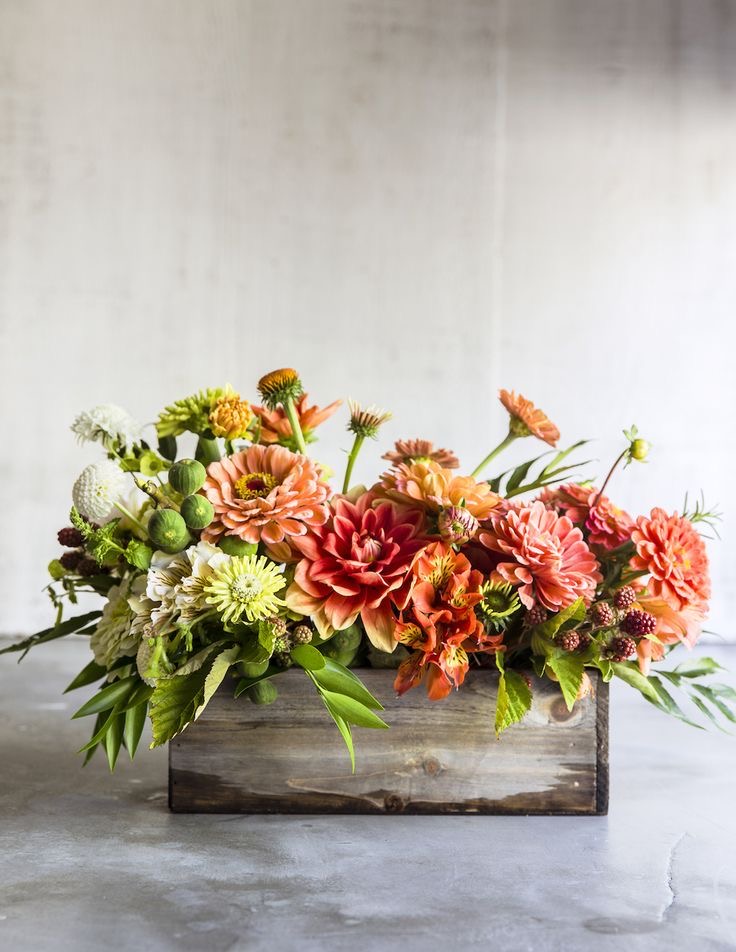 Fall color flowers