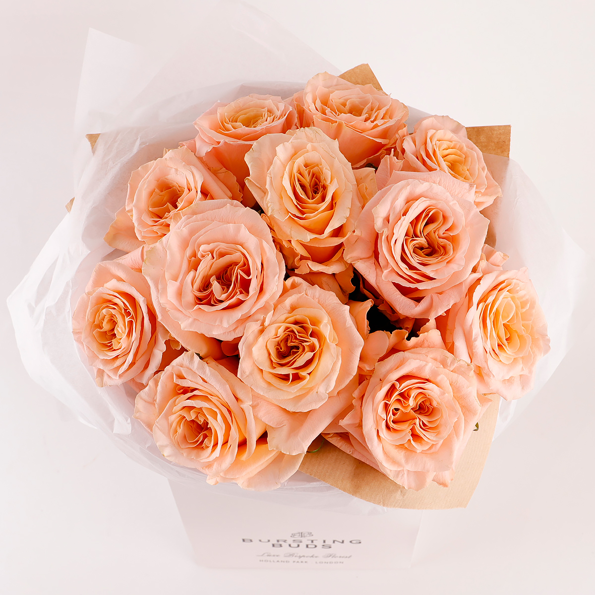 Whispering Peach Eleg