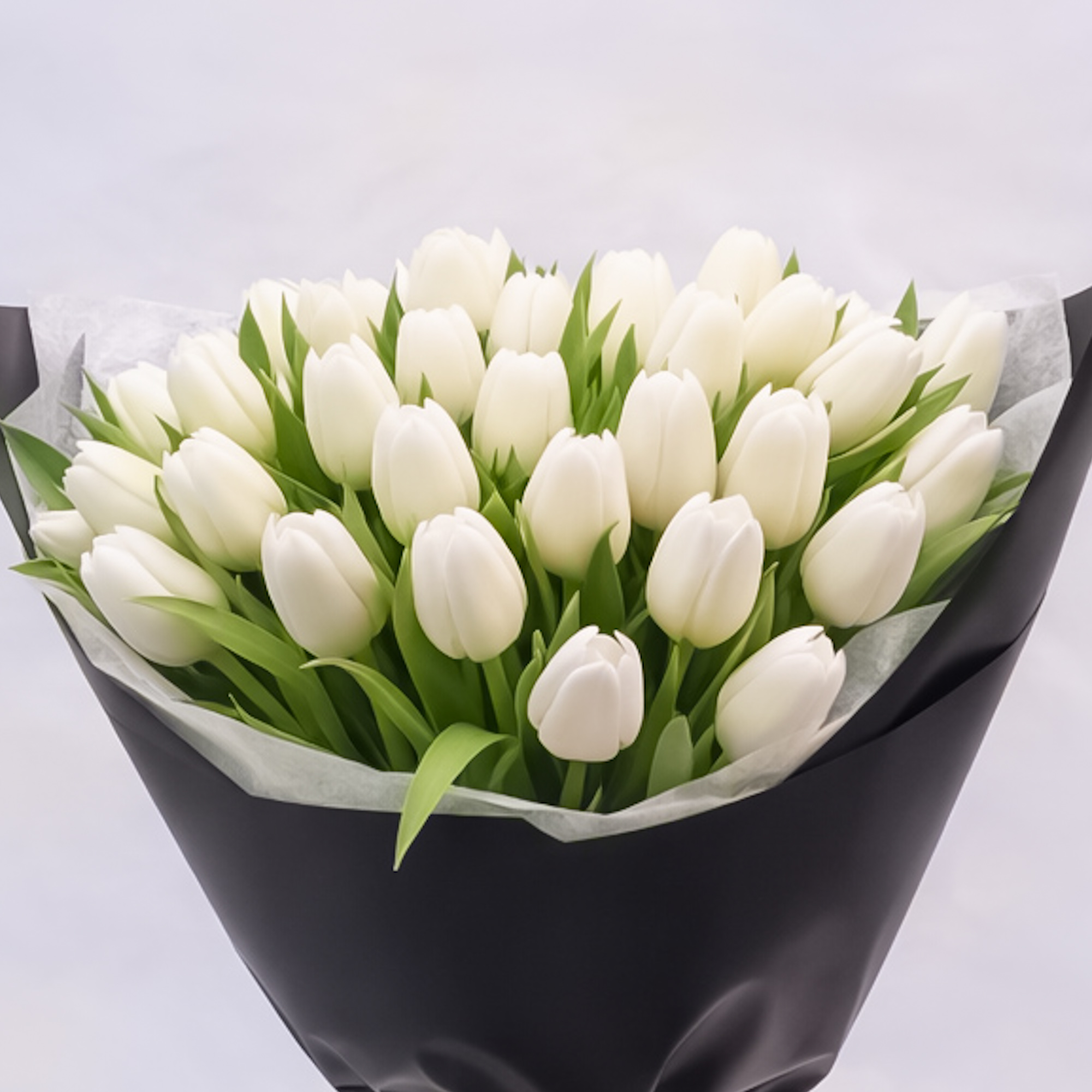Classic White Tulips