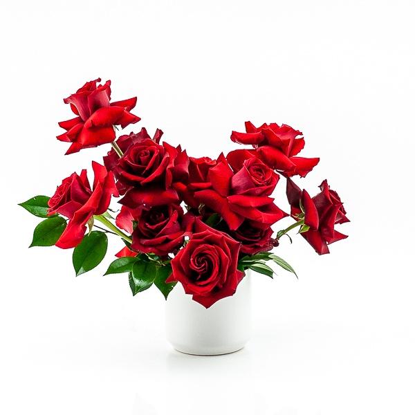 Red Rose Romance Flor