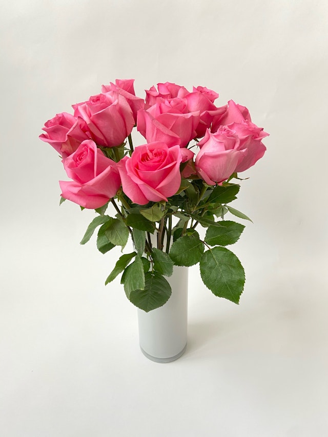 Bloomin' Love
