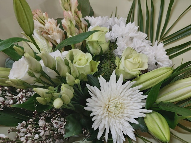 White Elegance