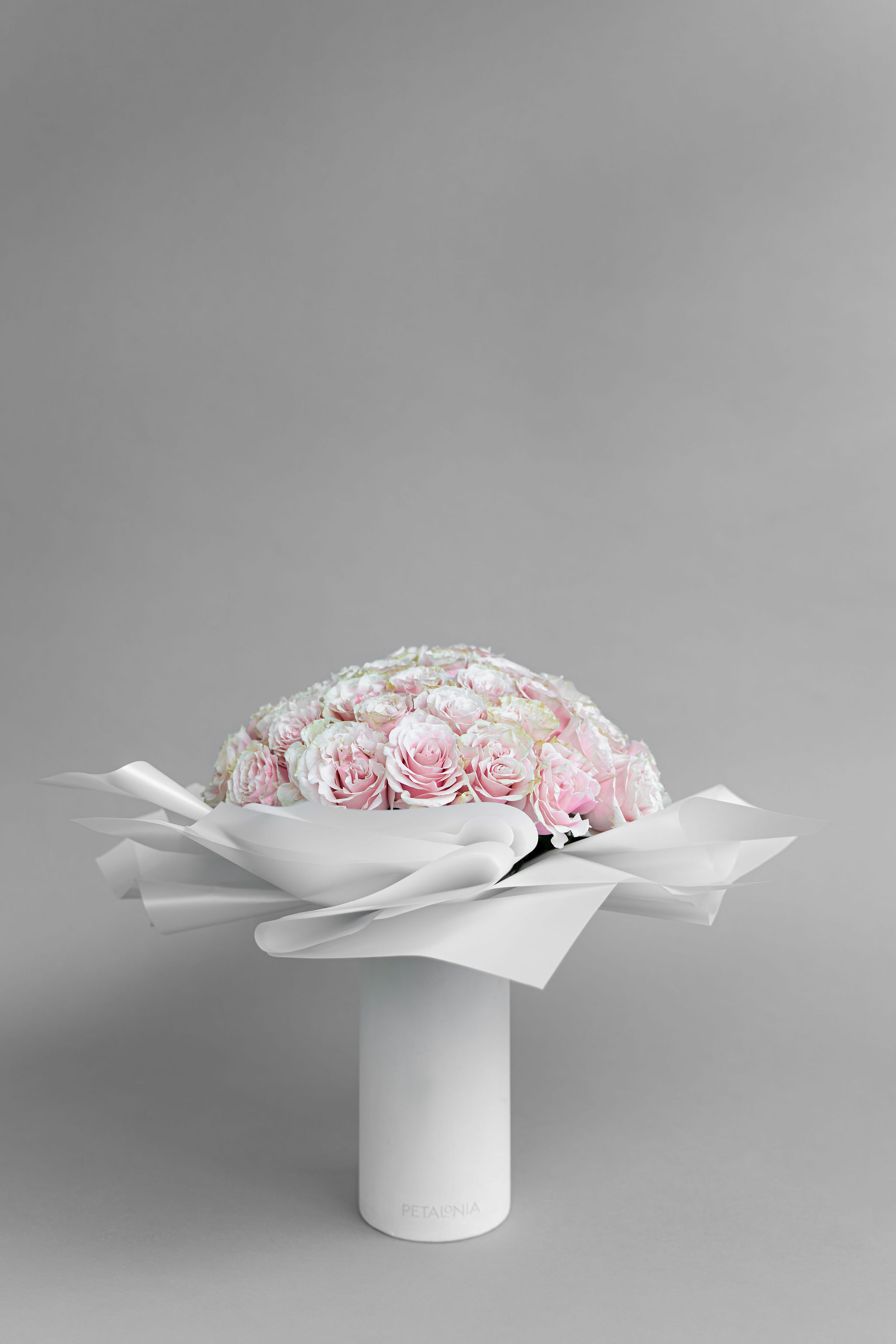 Pink Roses PETALONIA