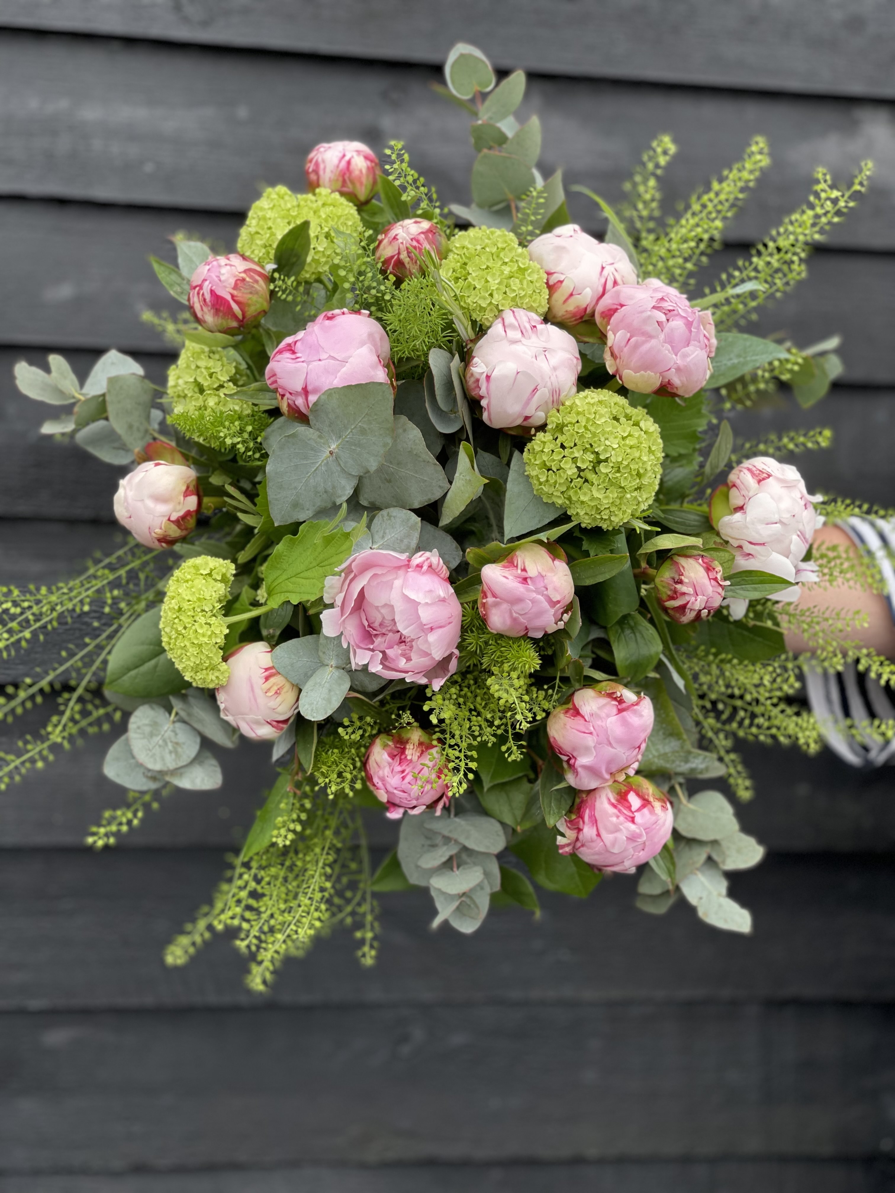 Peony Paradise